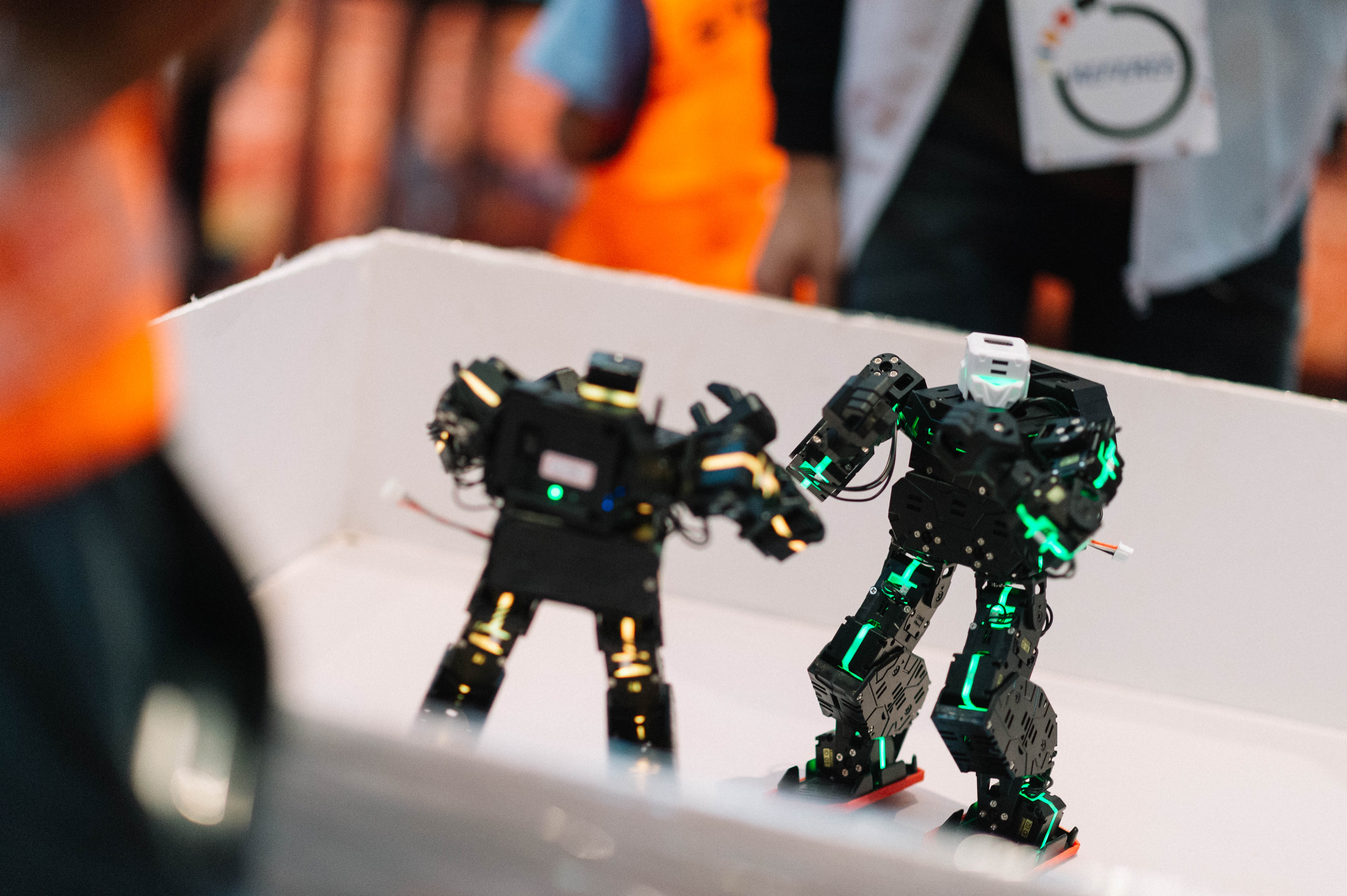 humanoid_robot_fighting